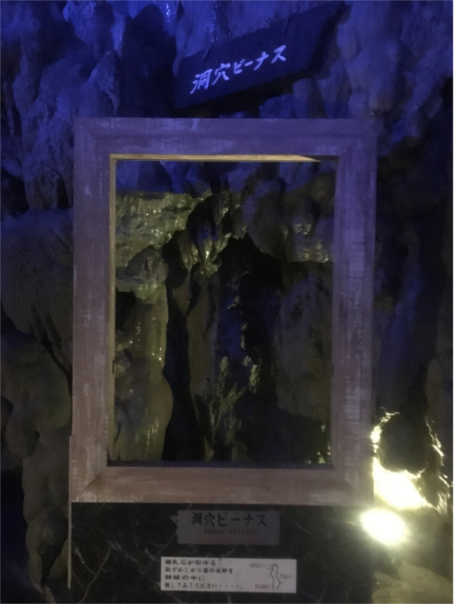 龍泉洞 洞穴ヴィーナス